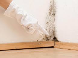 Best Crawl Space Mold Remediation in Des Moines, WA